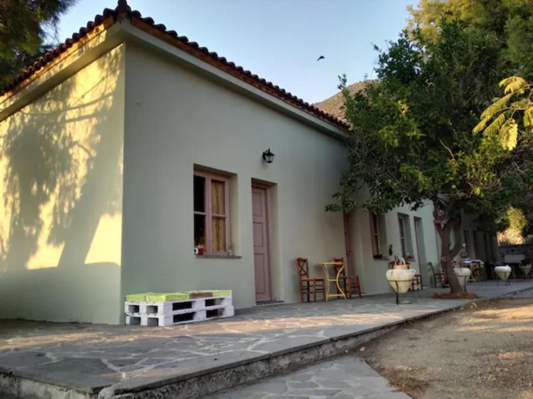 Arsinoe - Cosy Guesthouse- Methana Luaran gambar